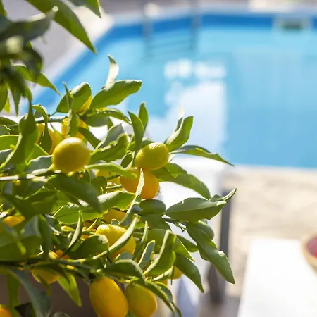 Relax Villa Lachi